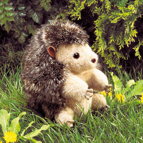 FOLKMANIS PUPPETS - Hedgehog Puppet